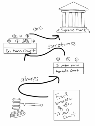 Illustration for article titled How to Read a Legal Opinion: the Structure of the Court System